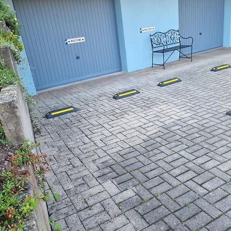 Miu'S Ferienwohnung Alpirsbach Bagian luar foto