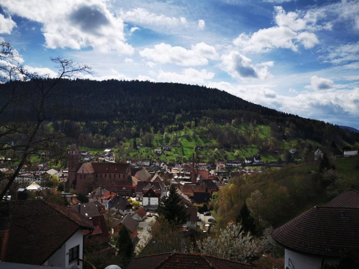 Miu'S Ferienwohnung Alpirsbach Bagian luar foto