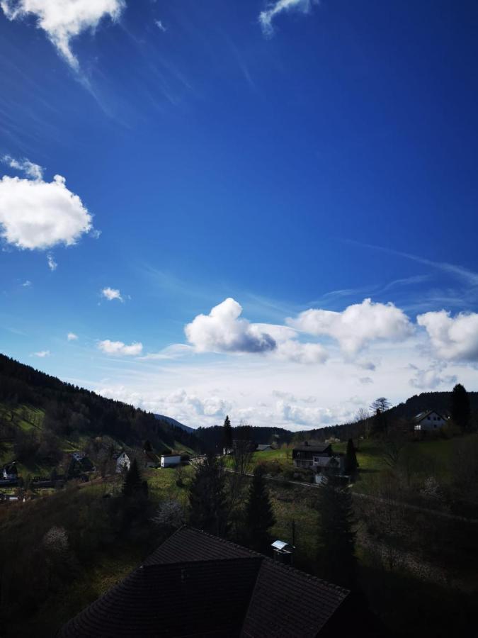 Miu'S Ferienwohnung Alpirsbach Bagian luar foto